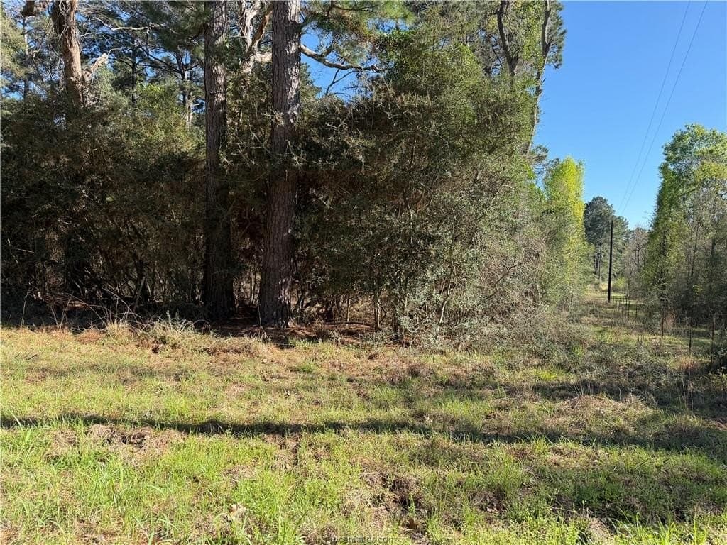 25.16 acres in Grimes County featured view