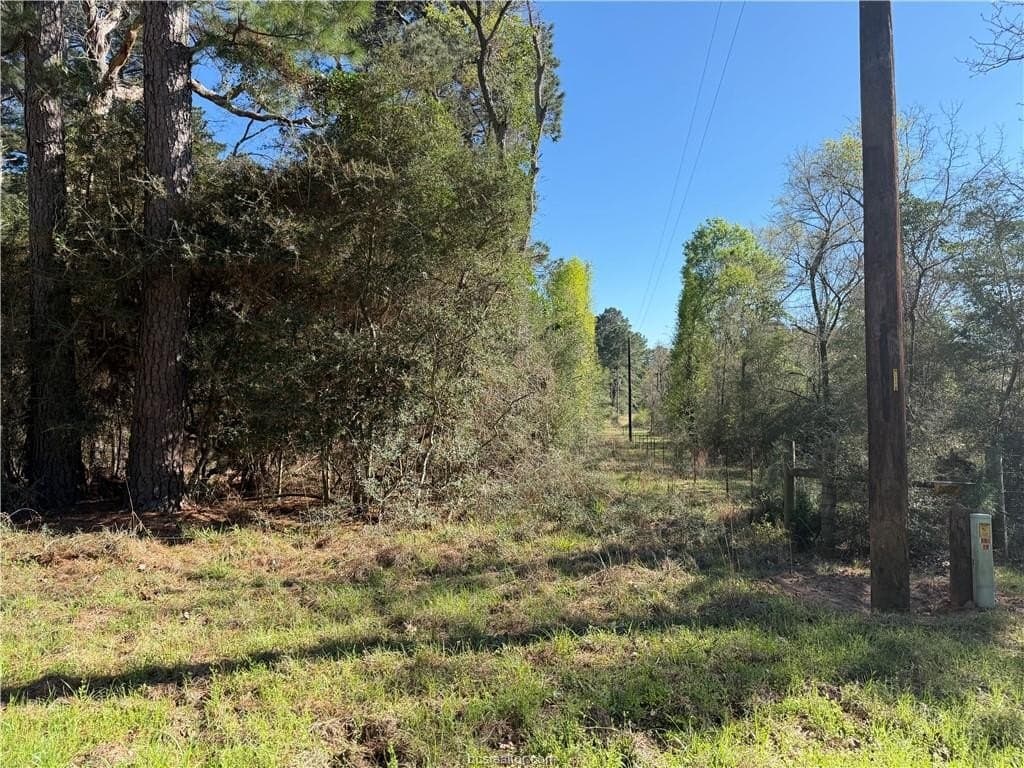 25.16 acres in Grimes County gallery image 4