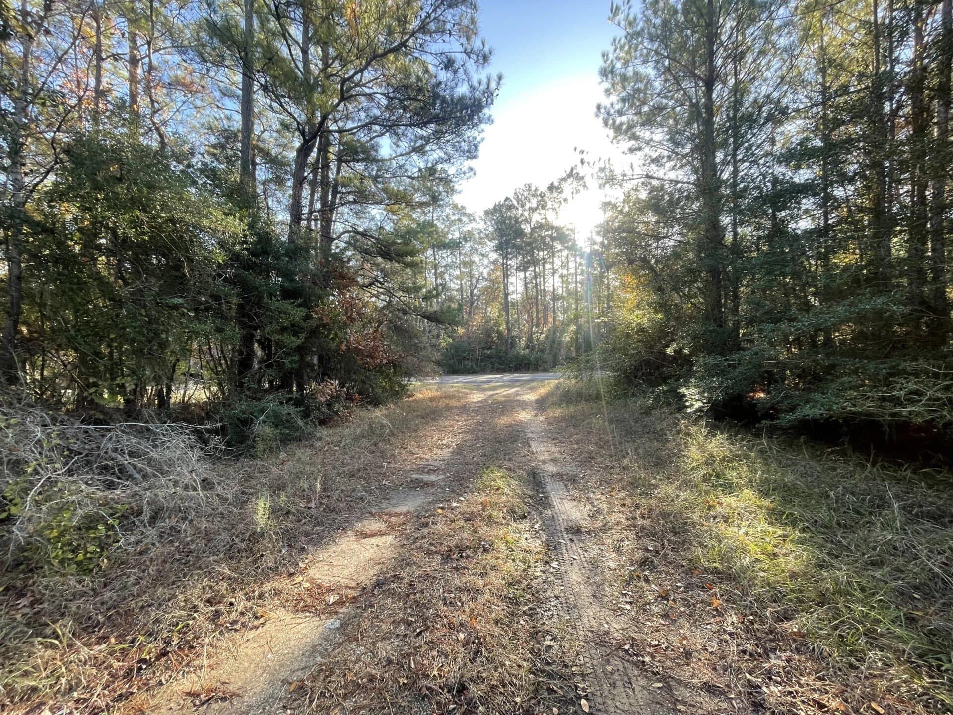 6.64 acres in Polk County - photo 36