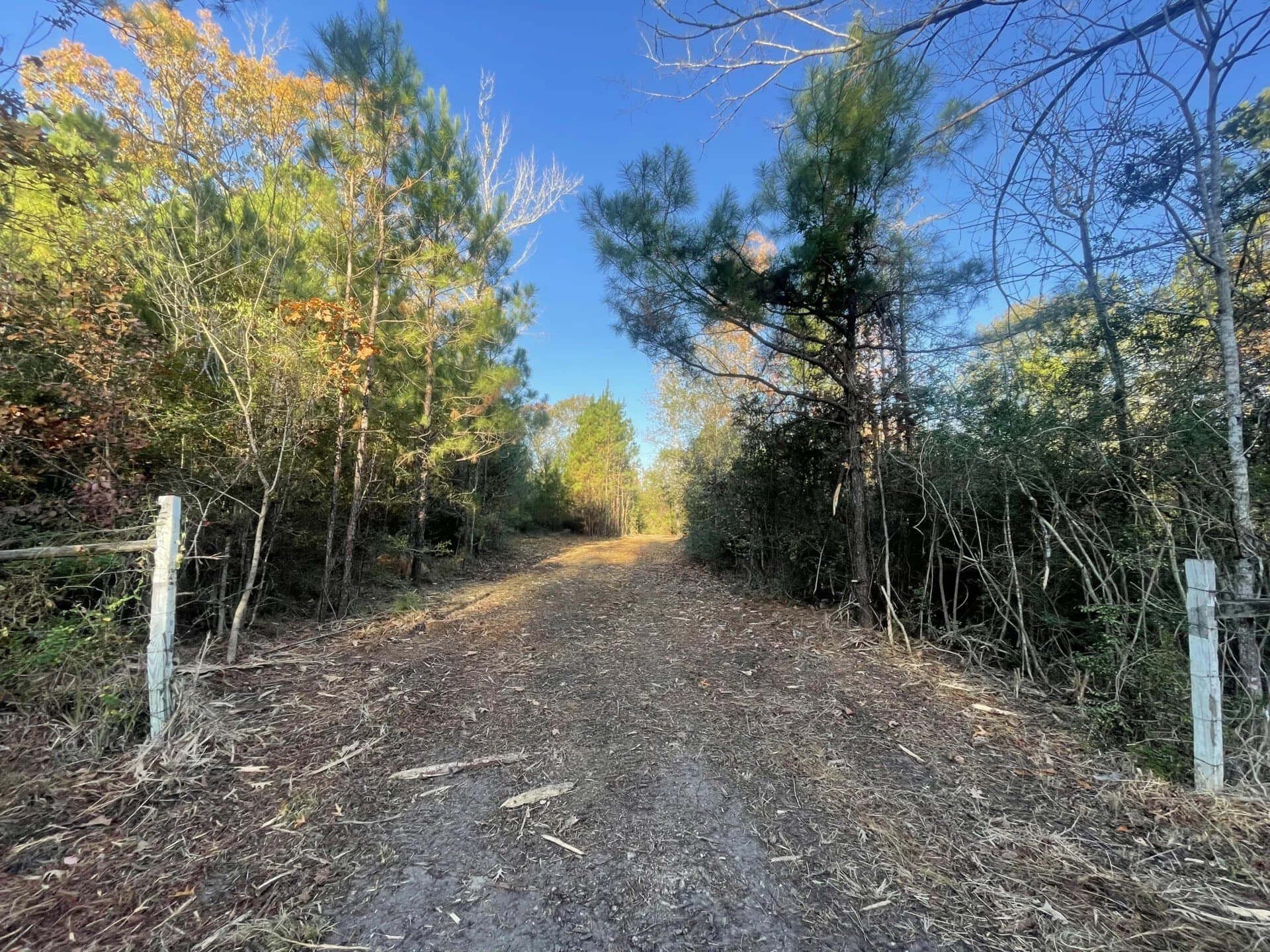 6.64 acres in Polk County - photo 35