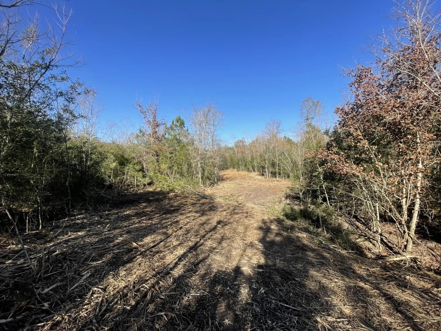 6.64 acres in Polk County - photo 26