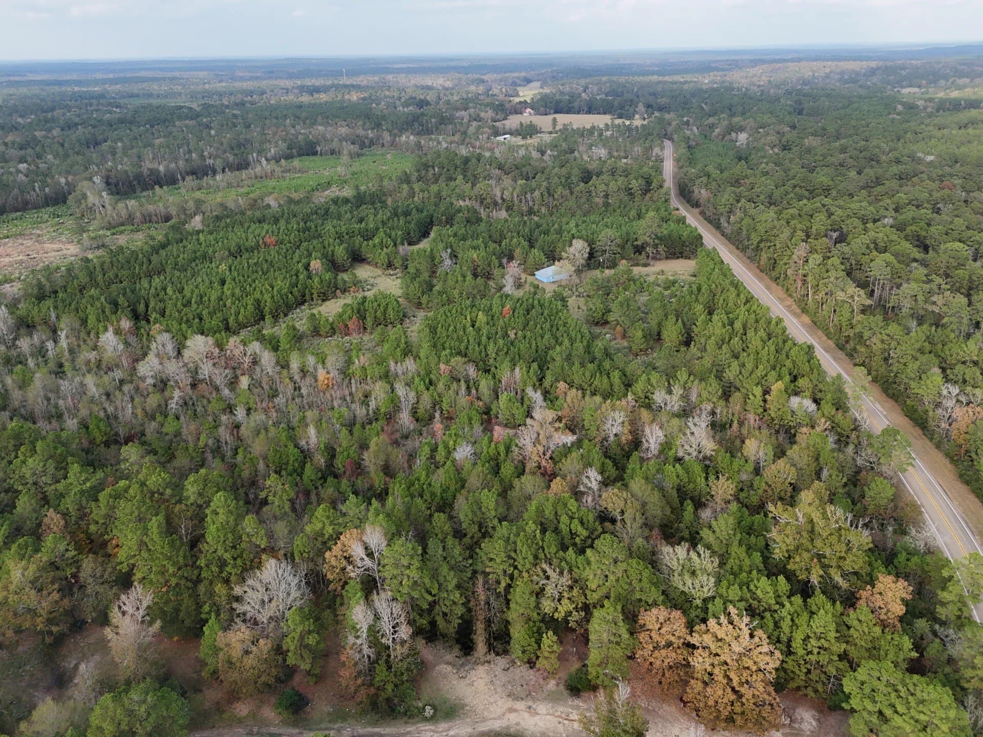 6.64 acres in Polk County - photo 14