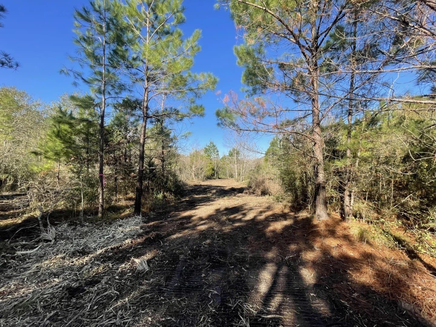 6.64 acres in Polk County - photo 28