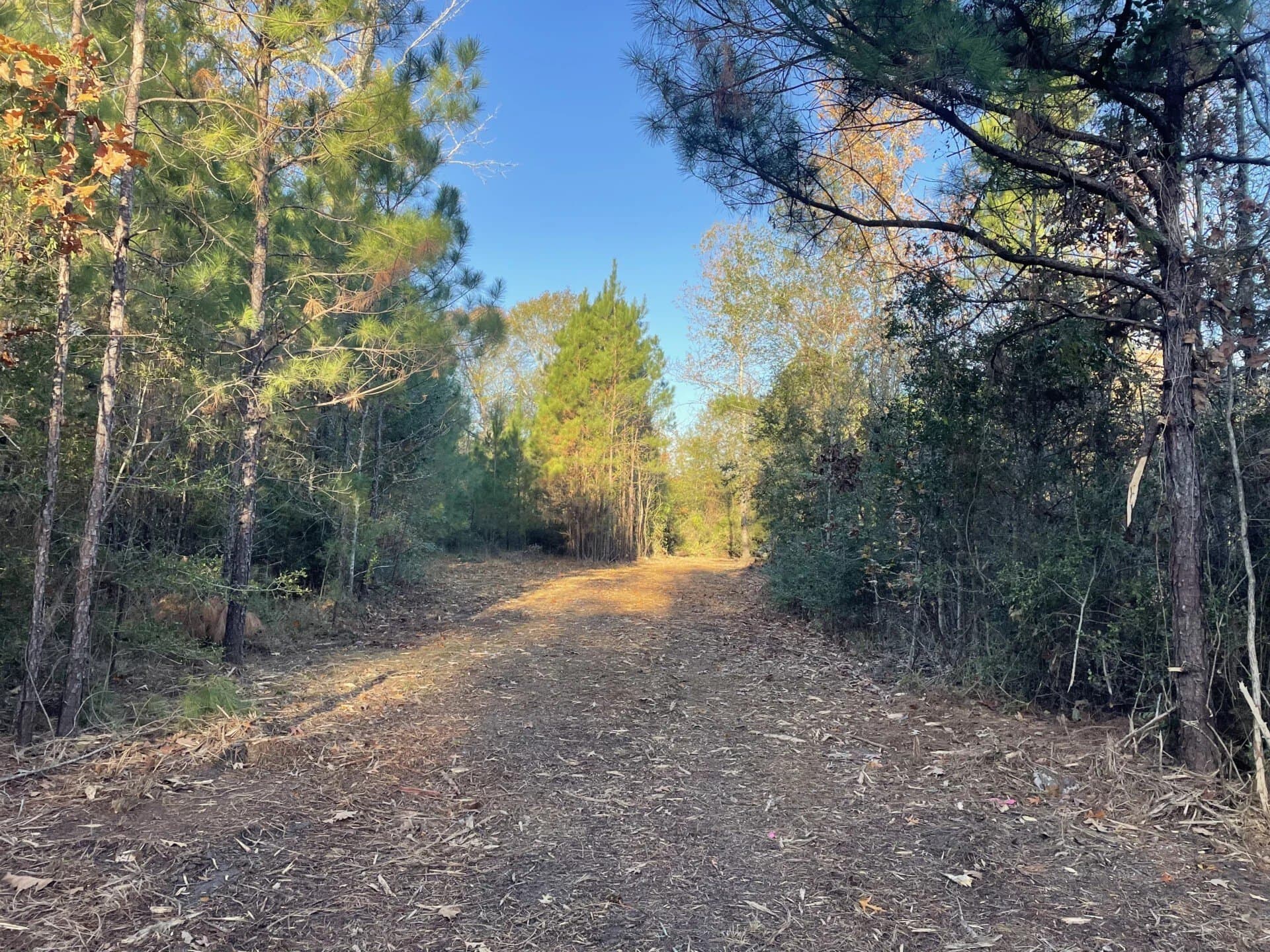 6.64 acres in Polk County - photo 34