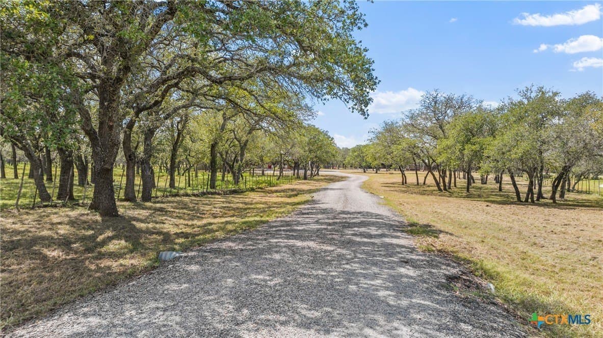 10 acres in Blanco County - photo 4