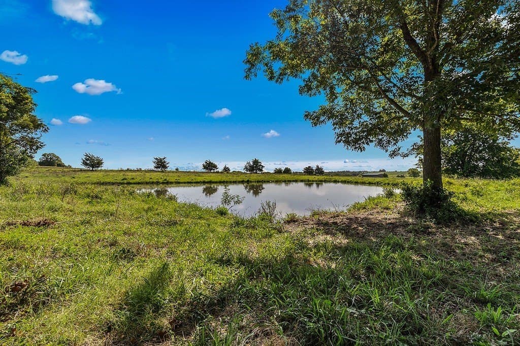 24.59 acres in Fayette County gallery image 3