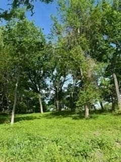 4.06 acres in Hill County gallery image 3