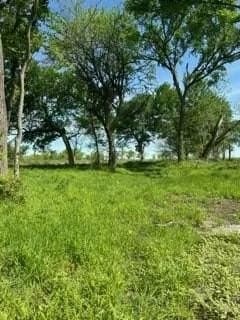 4.06 acres in Hill County gallery image 4