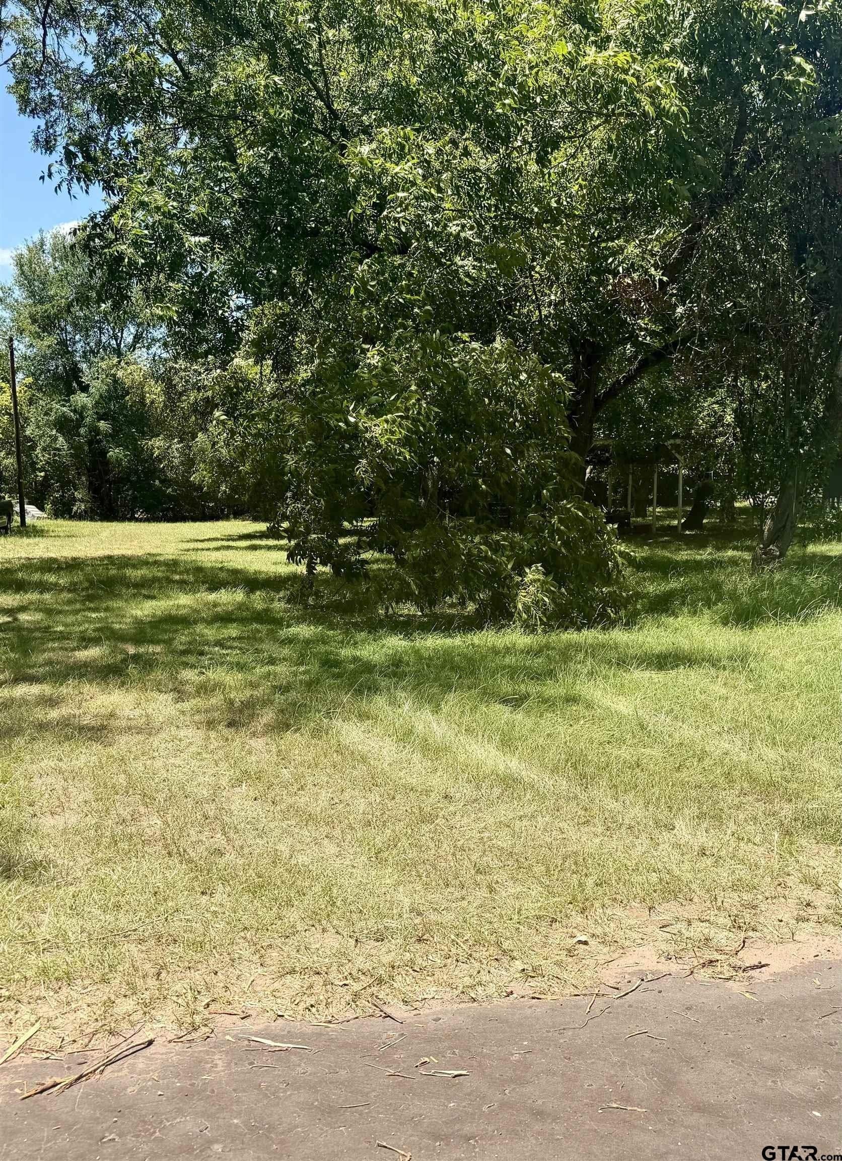 0.2 acres in Smith County - photo 2