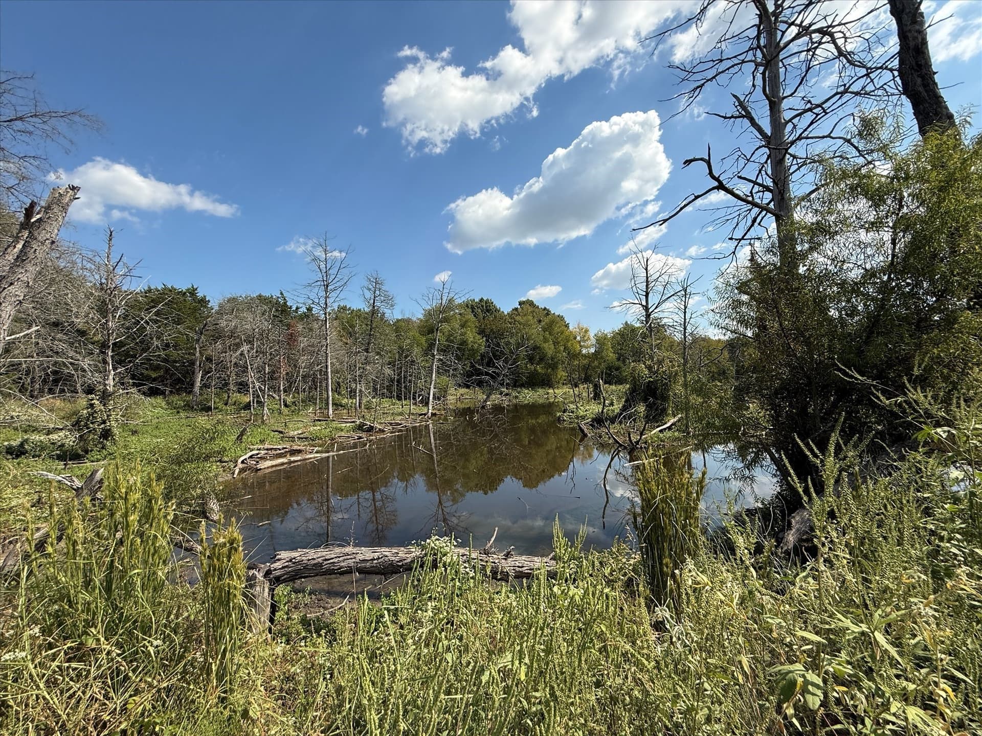 68.76 acres in Kaufman County - photo 10