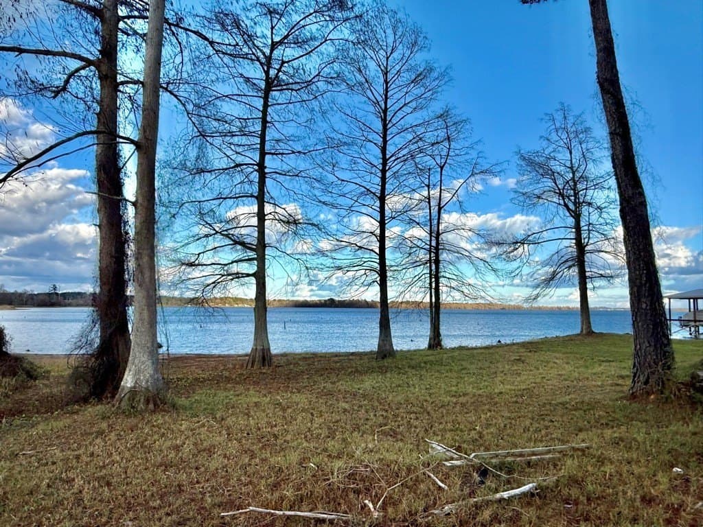 1.51 acres in Texas County gallery image 3