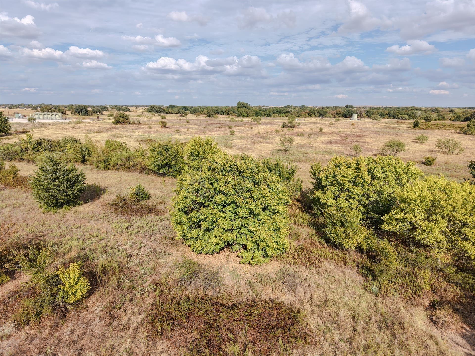 81 acres in Wise County - photo 11