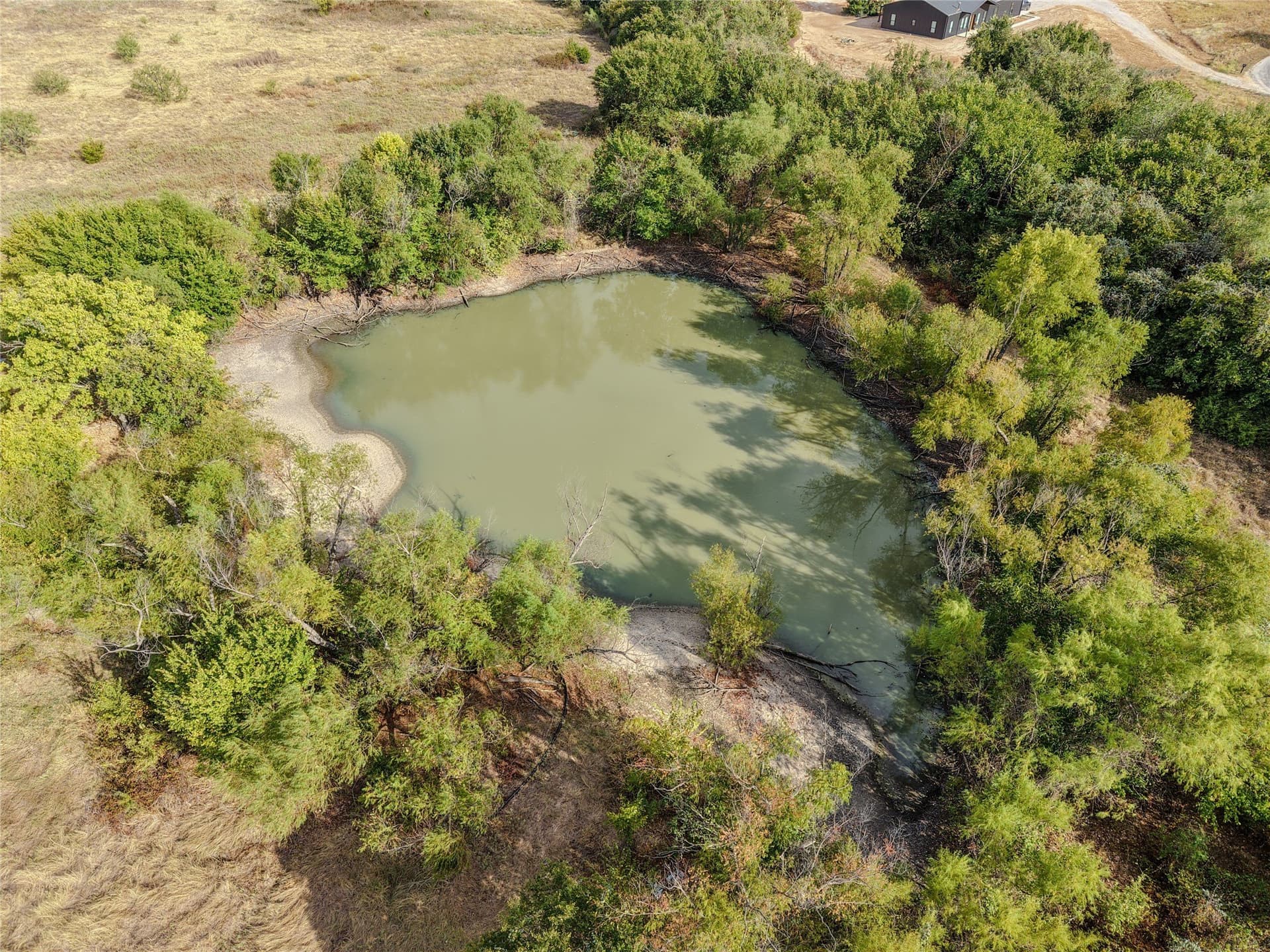 81 acres in Wise County - photo 5
