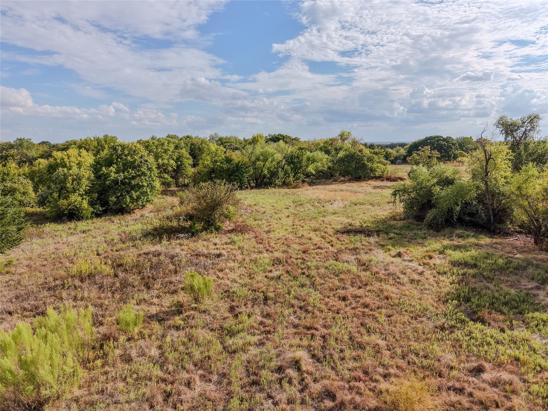 81 acres in Wise County - photo 8