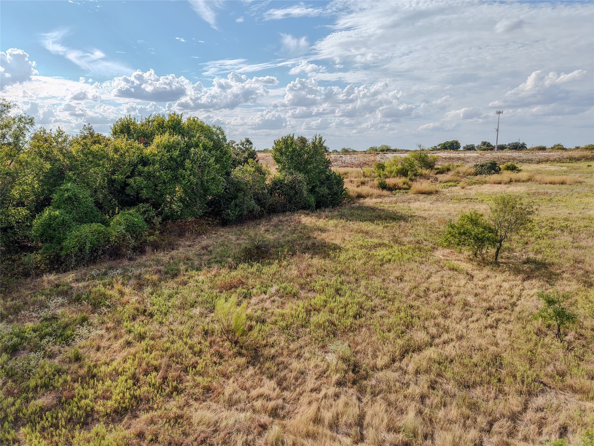 81 acres in Wise County - photo 9