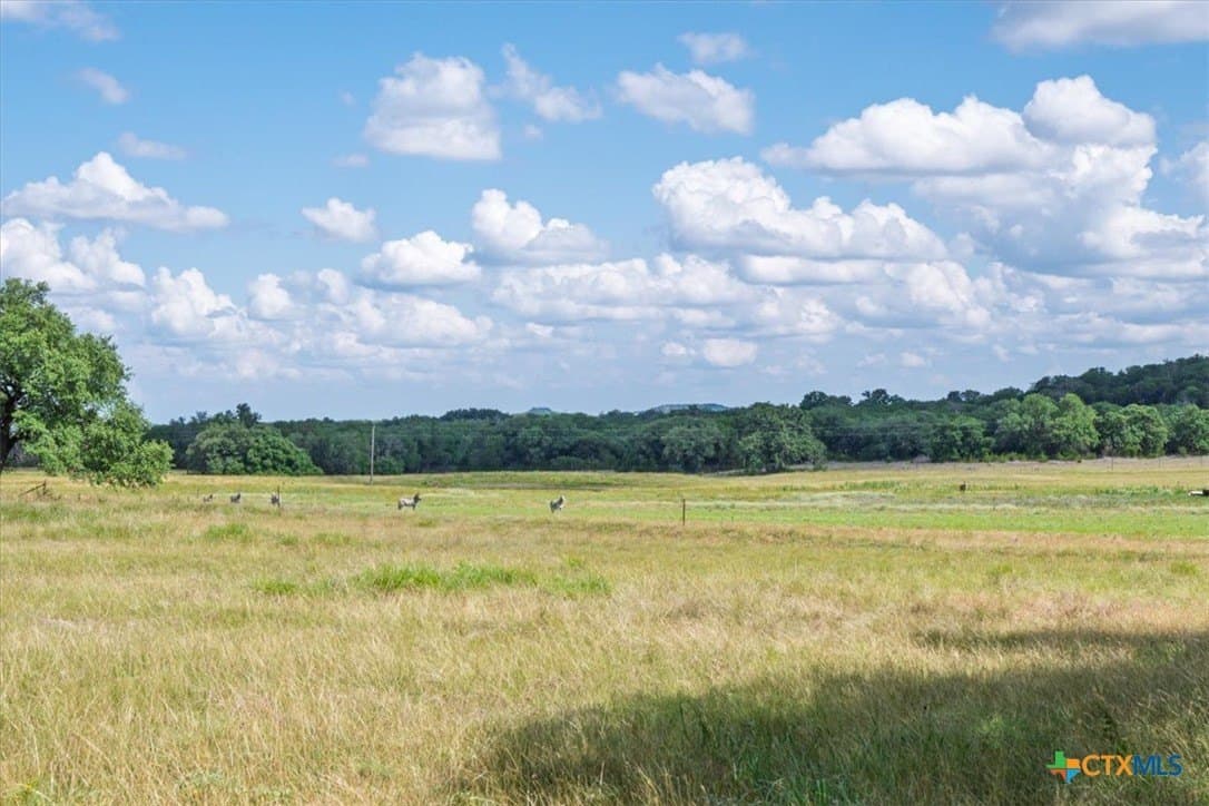 563.17 acres in Coryell County - photo 20