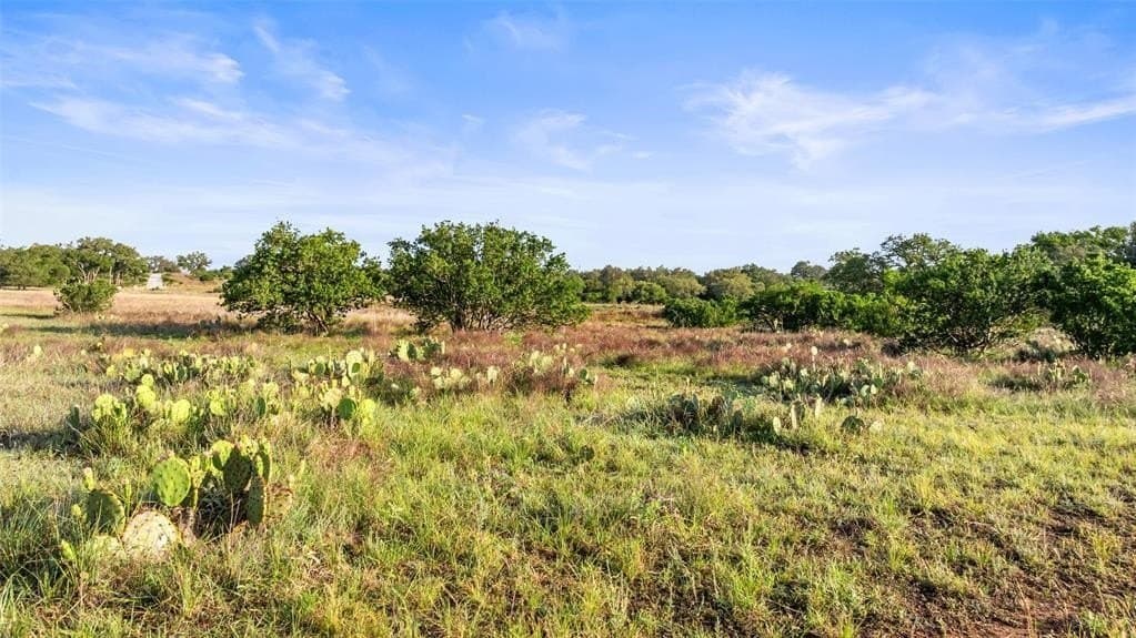 11 acres in Blanco County - photo 15