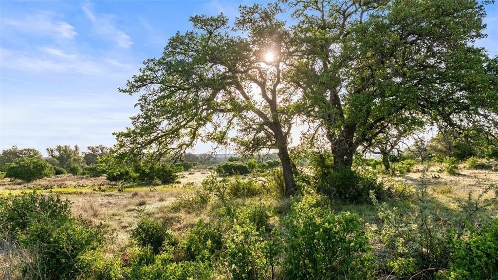 11 acres in Blanco County - photo 2