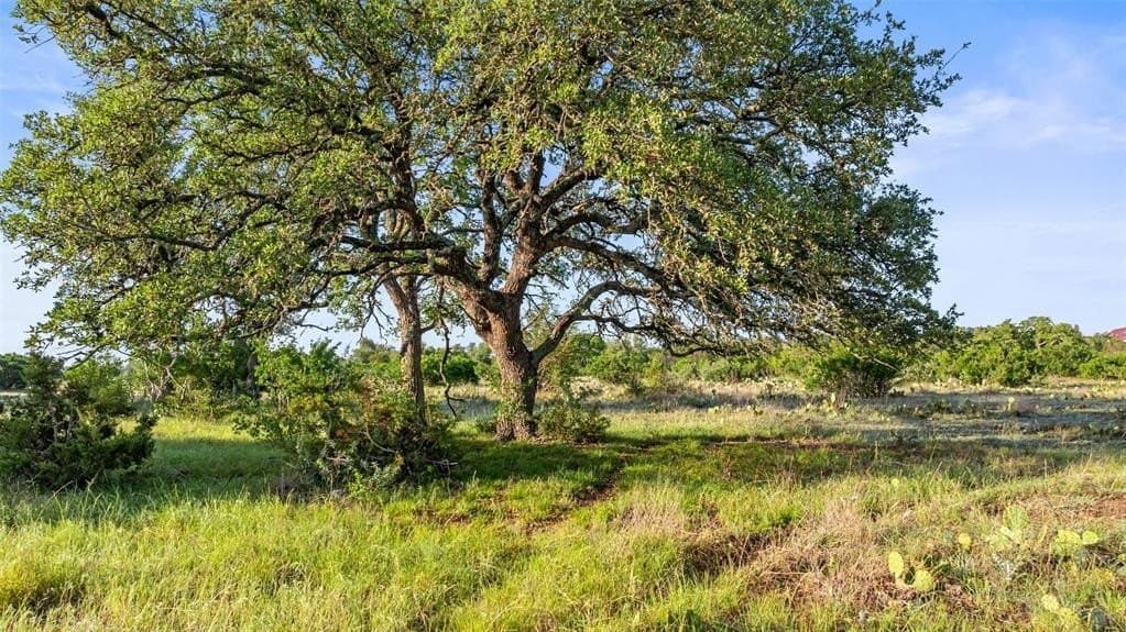 11 acres in Blanco County - photo 3