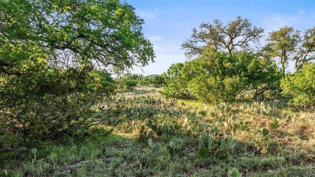 11 acres in Blanco County - photo 21