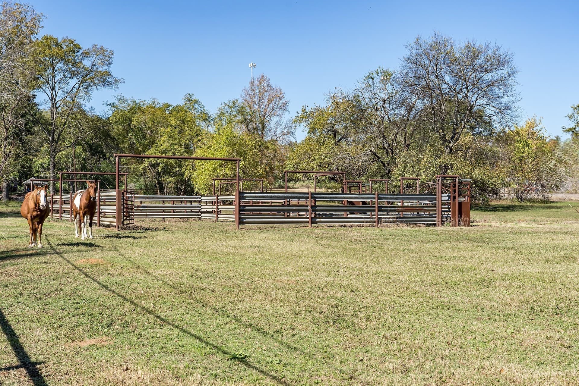 48 acres in Smith County - photo 8