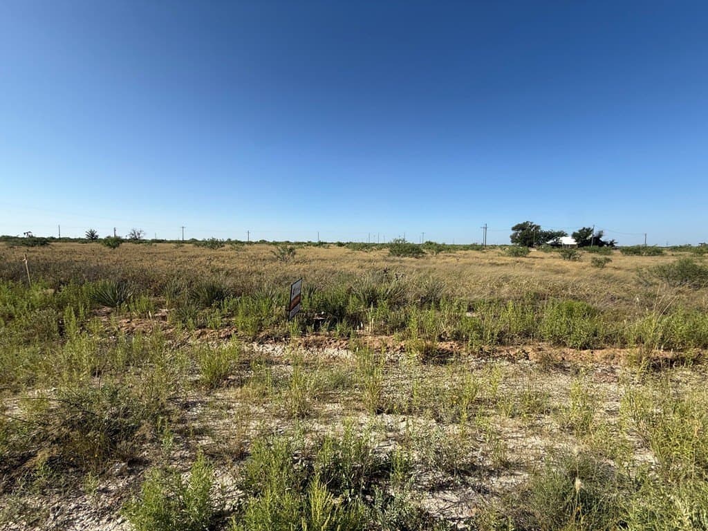 2.25 acres in Gaines County gallery image 2