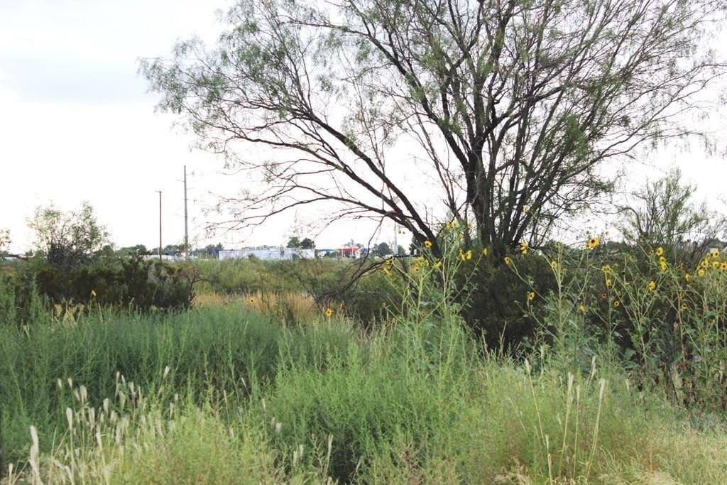 0 acres in Pecos County