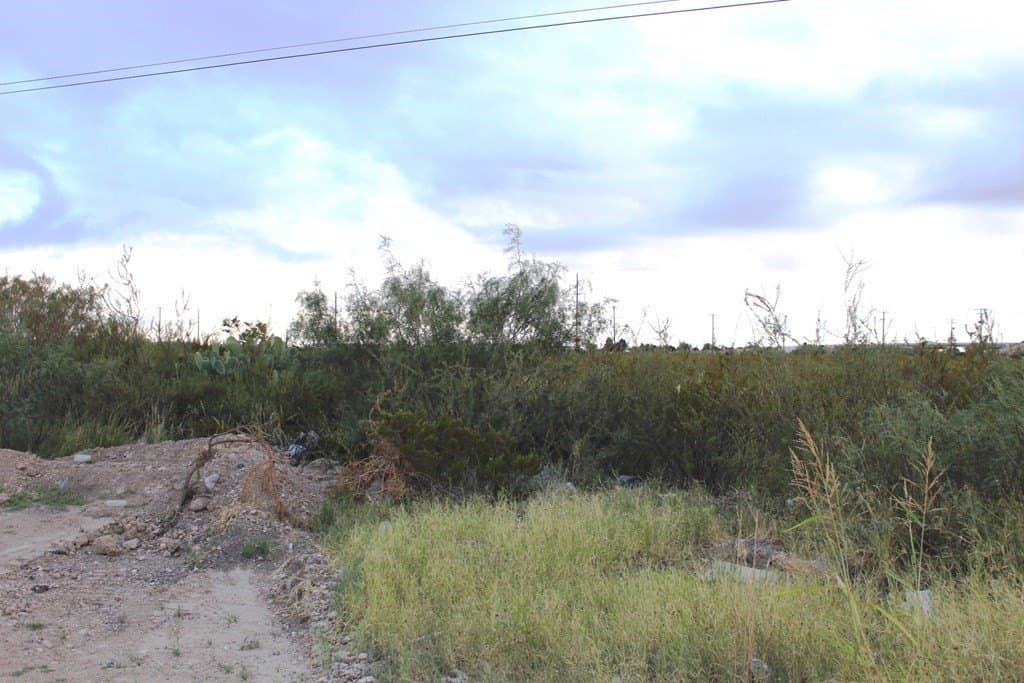 0 acres in Pecos County gallery image 4