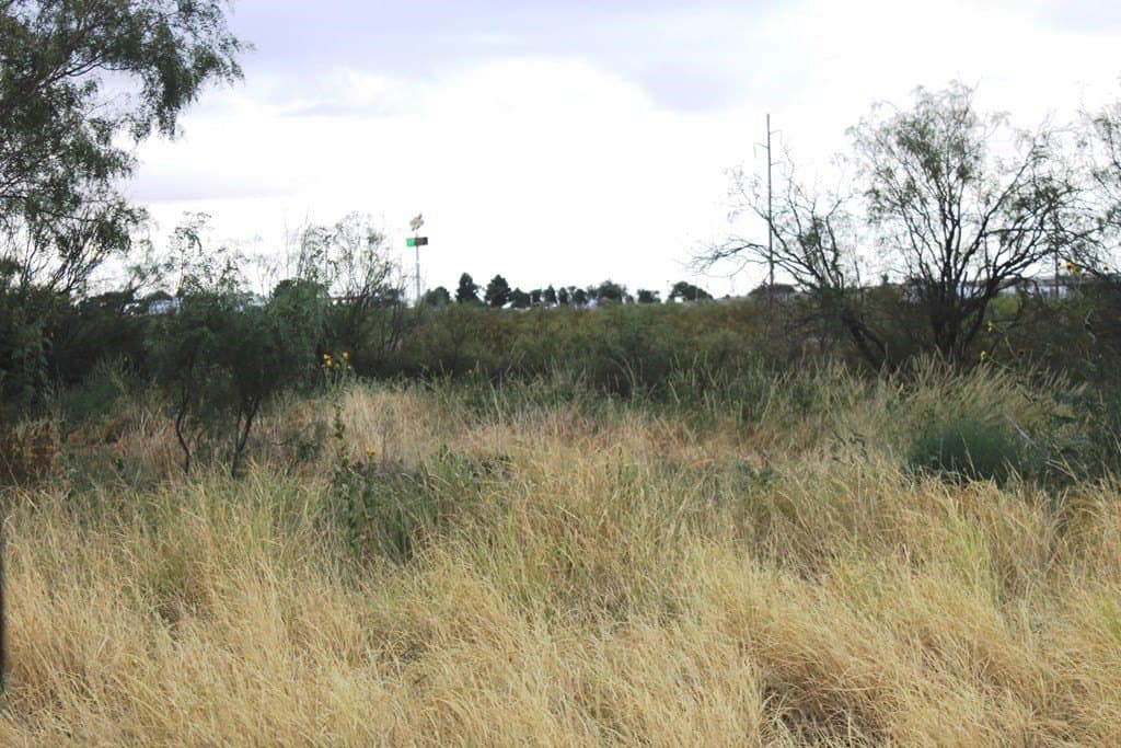 0 acres in Pecos County - photo 6