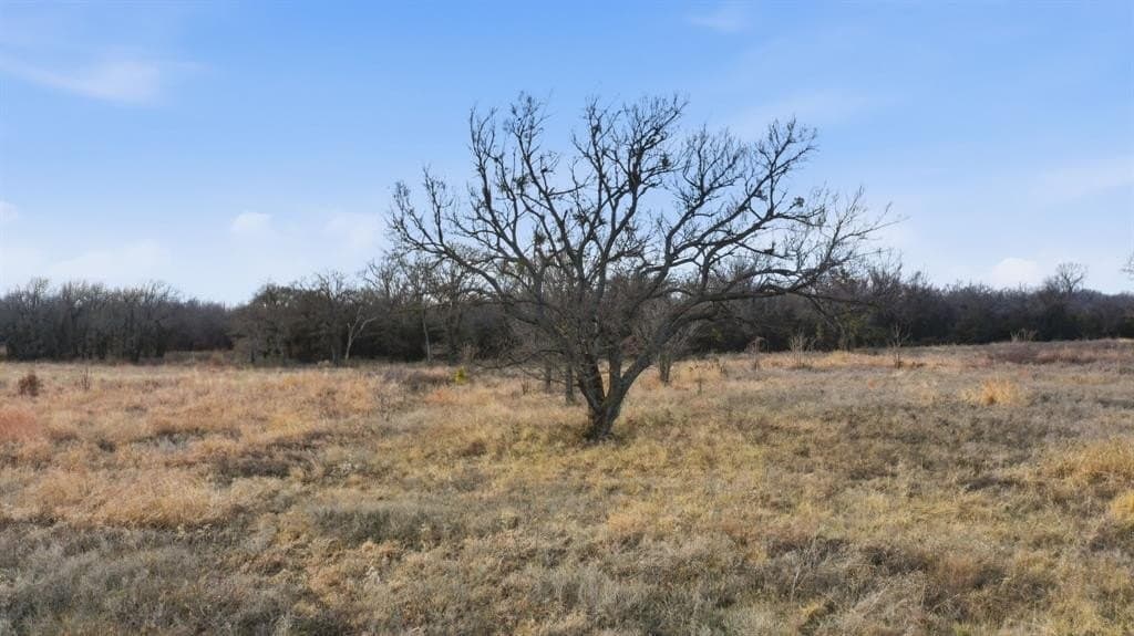 5 acres in Jack County gallery image 3