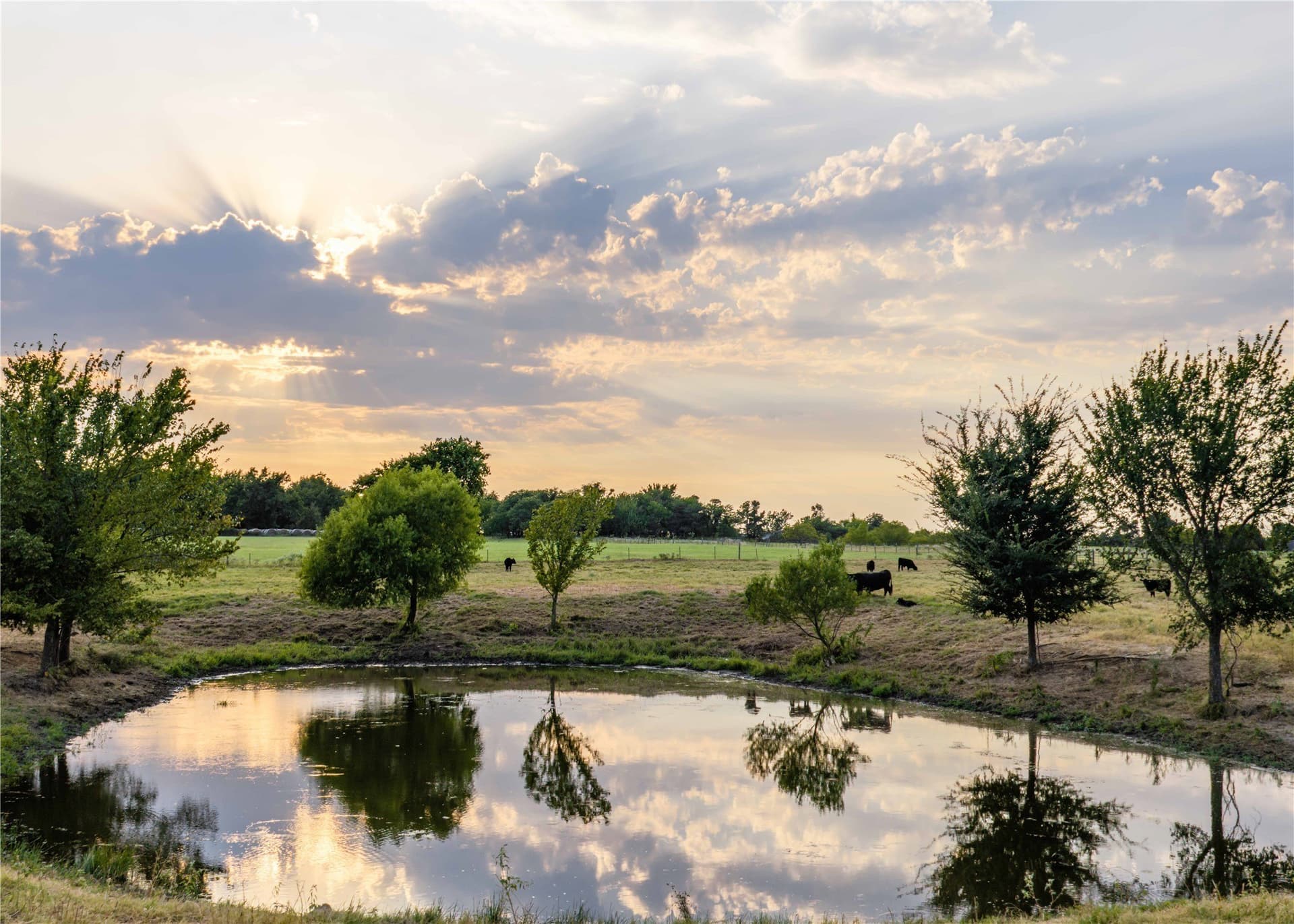 23.6 acres in Hopkins County - photo 11