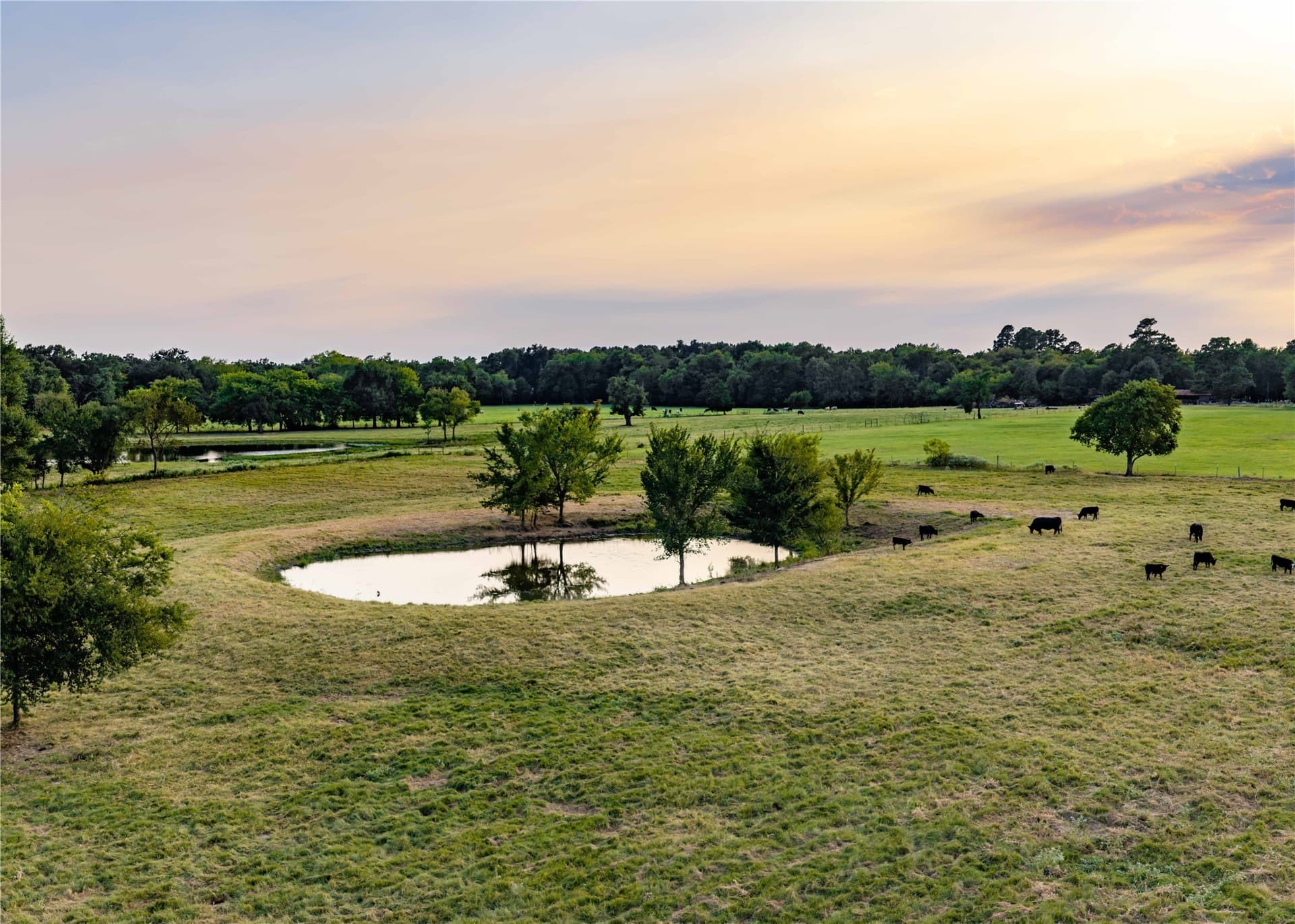 23.6 acres in Hopkins County - photo 3