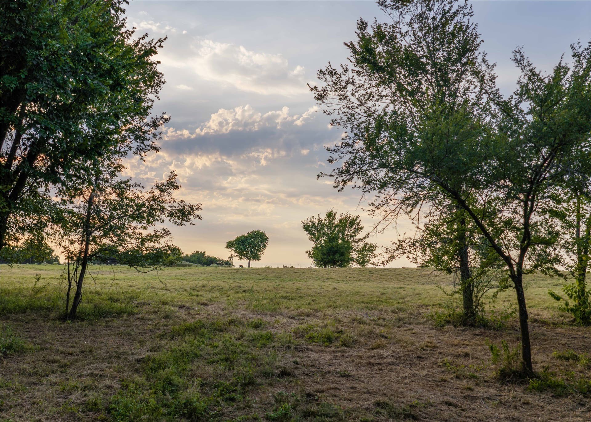 23.6 acres in Hopkins County - photo 6