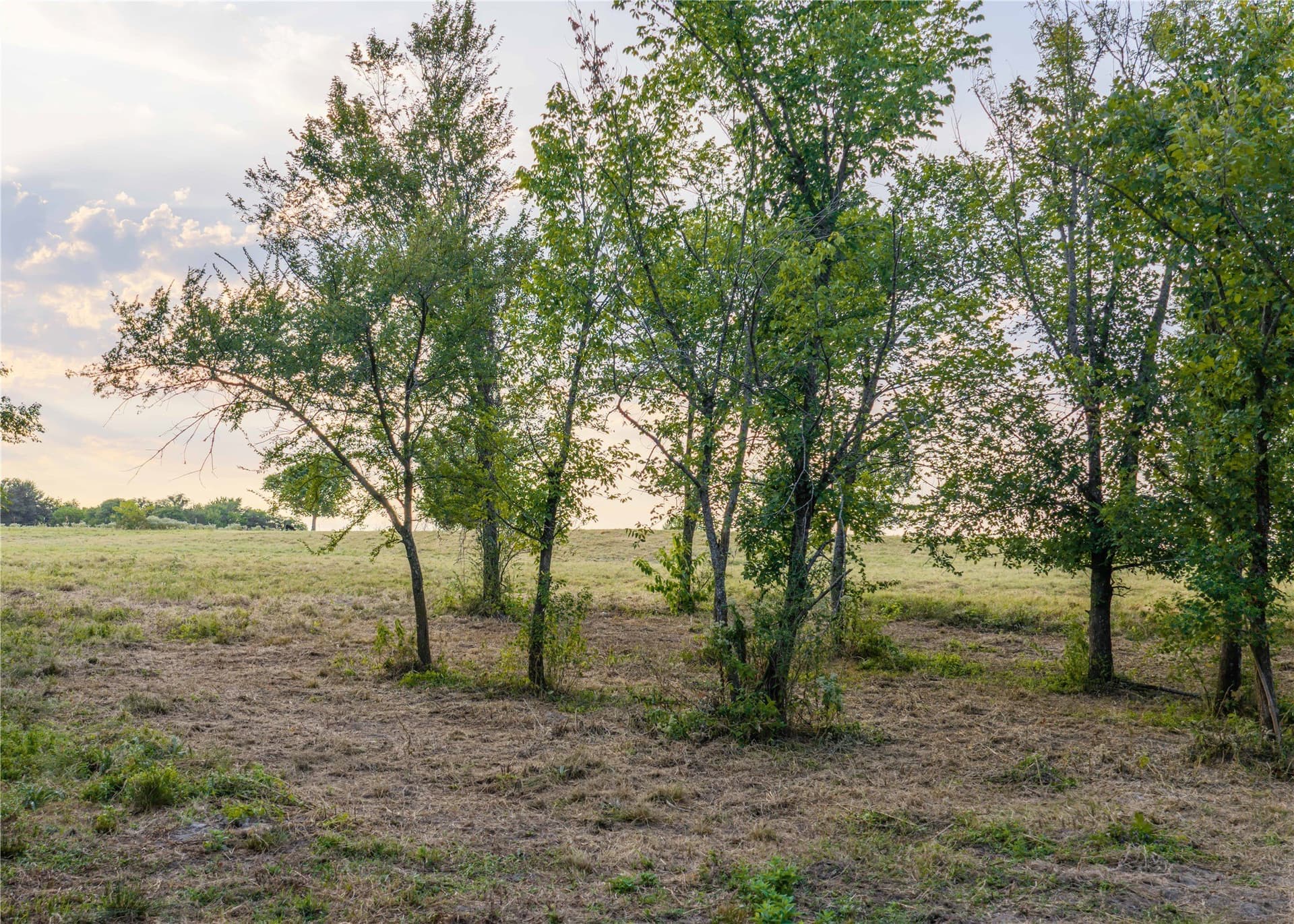 23.6 acres in Hopkins County - photo 9