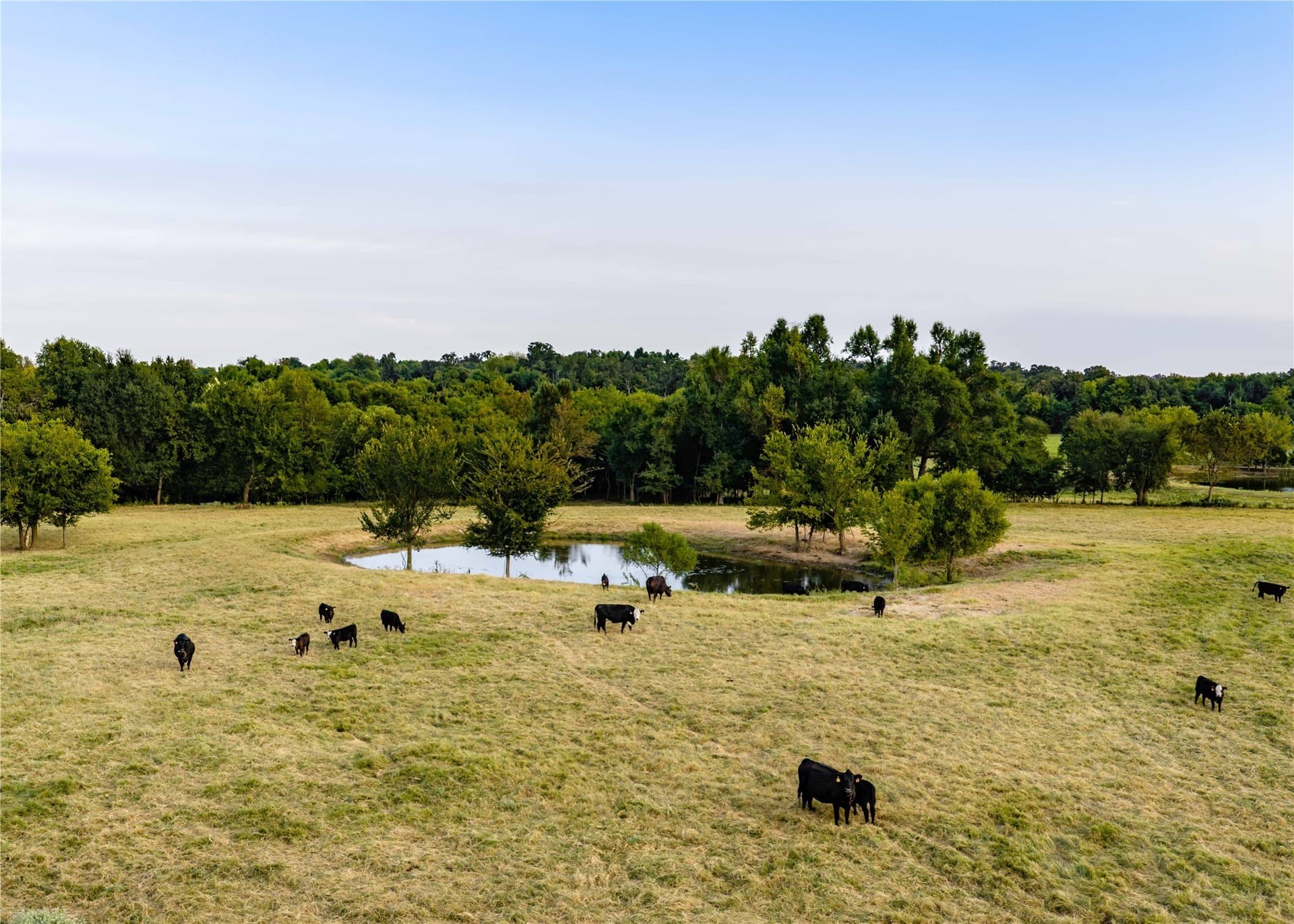 23.6 acres in Hopkins County - photo 2