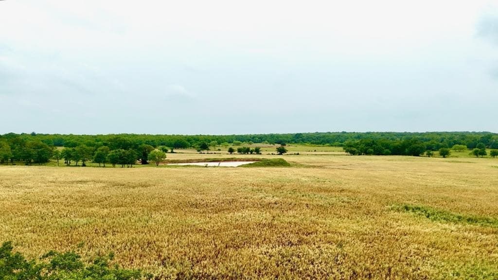 76 acres in Wise County - photo 11