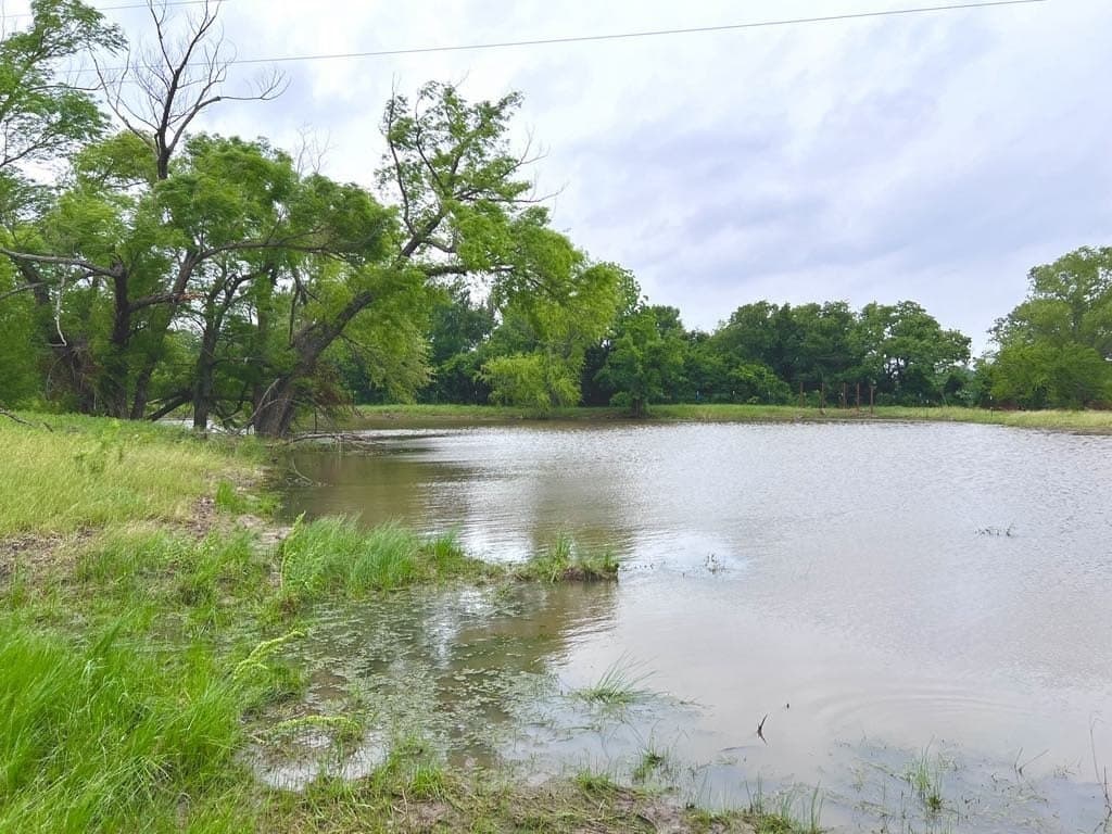 76 acres in Wise County - photo 10