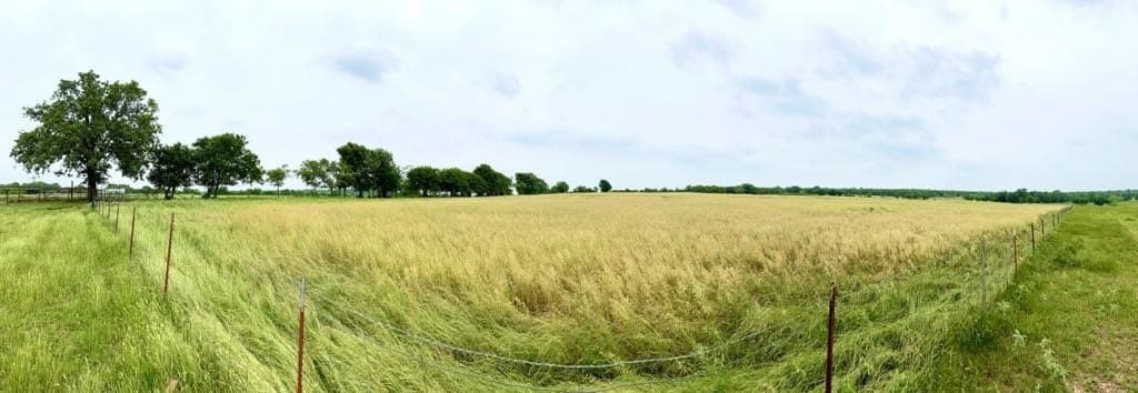 76 acres in Wise County - photo 5