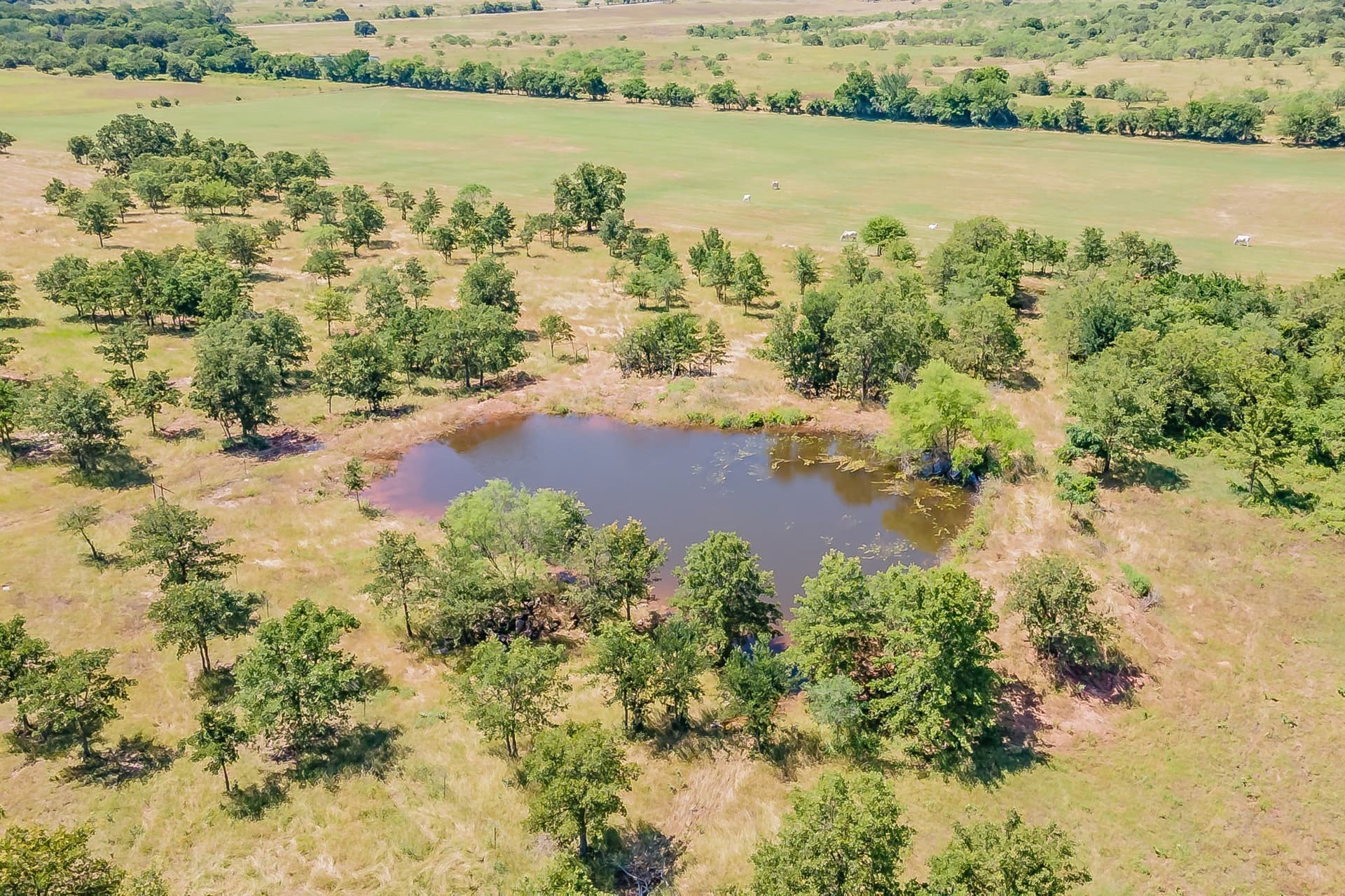 76 acres in Wise County - photo 13