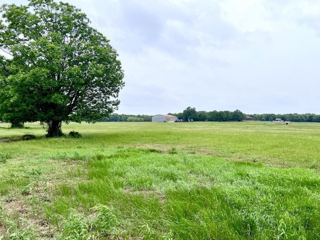 76 acres in Wise County - photo 9