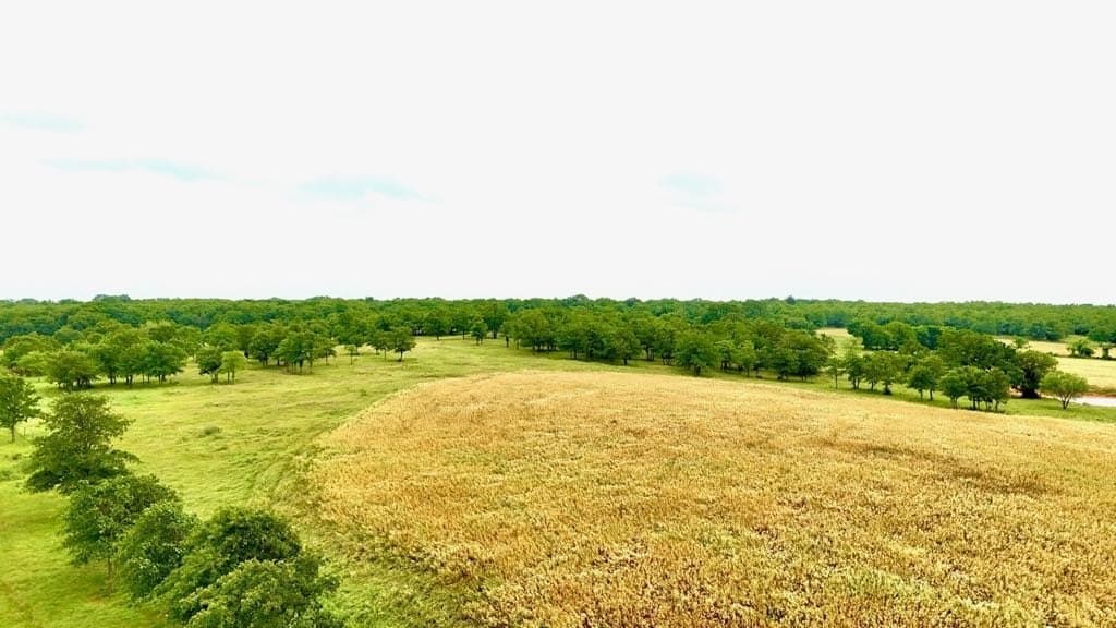 76 acres in Wise County - photo 12