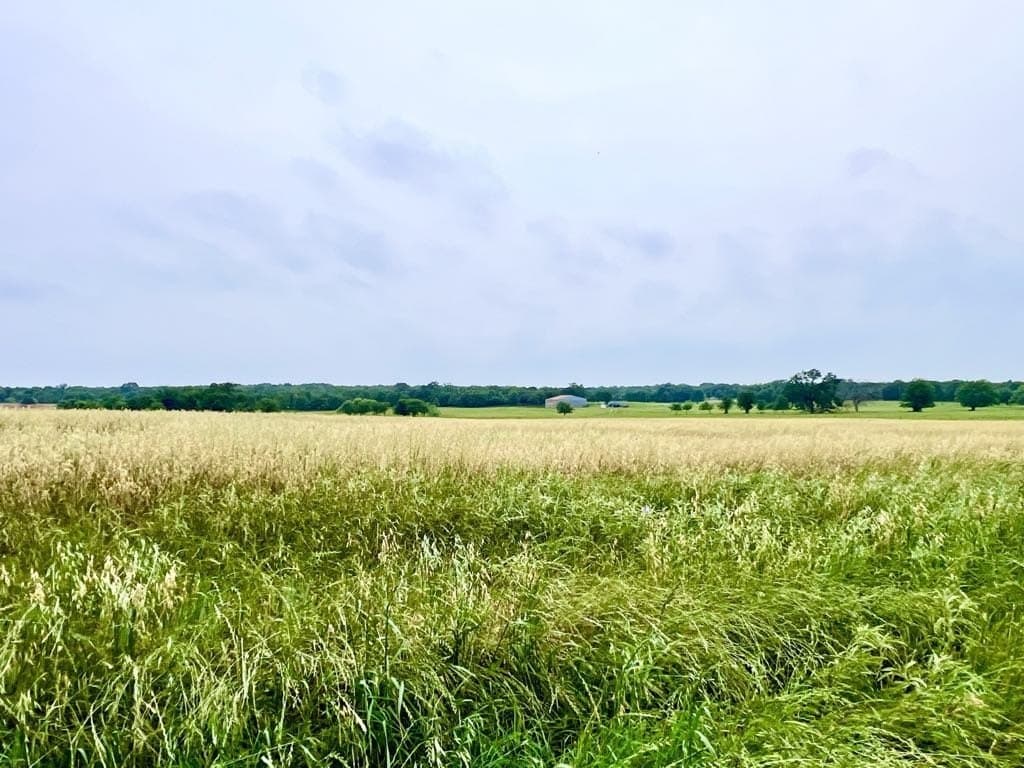 76 acres in Wise County - photo 8