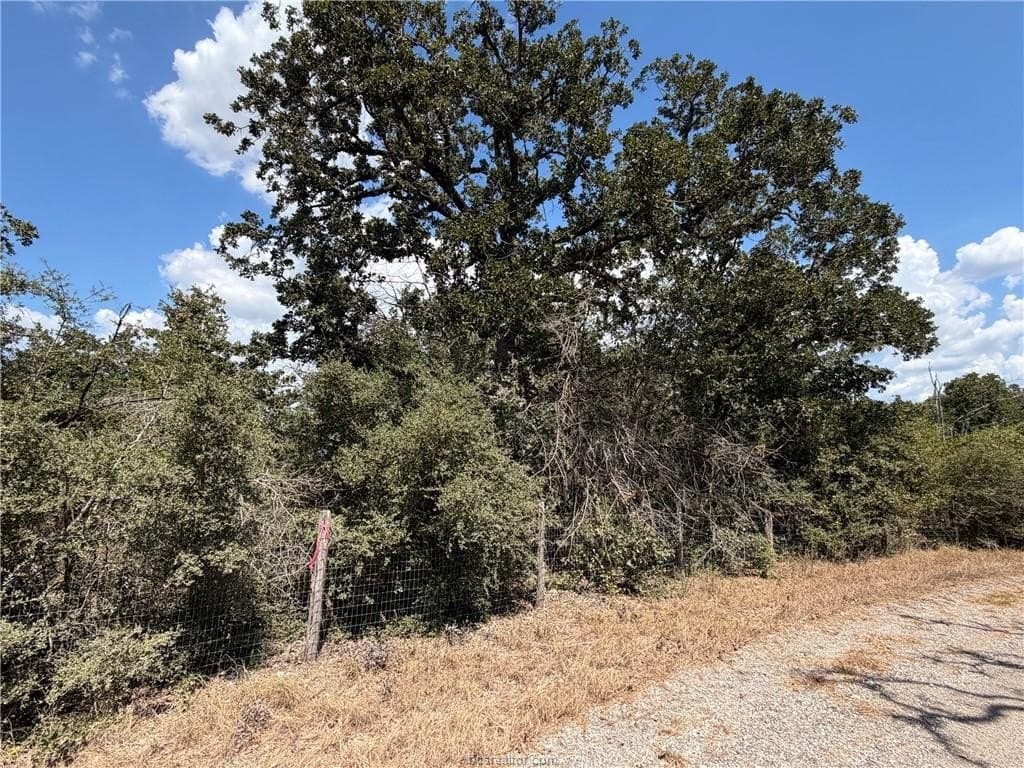 2.73 acres in Brazos County - photo 8