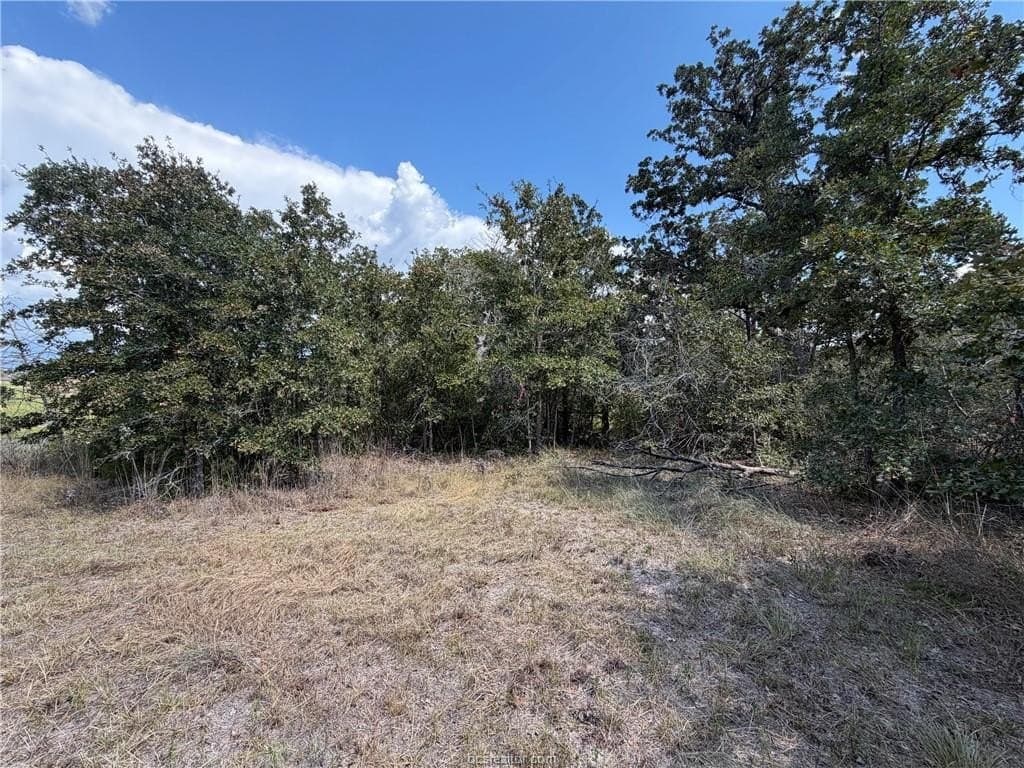 2.73 acres in Brazos County - photo 9