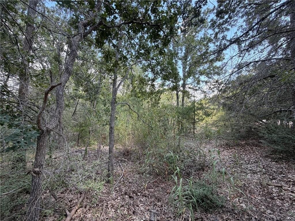 2.73 acres in Brazos County - photo 10