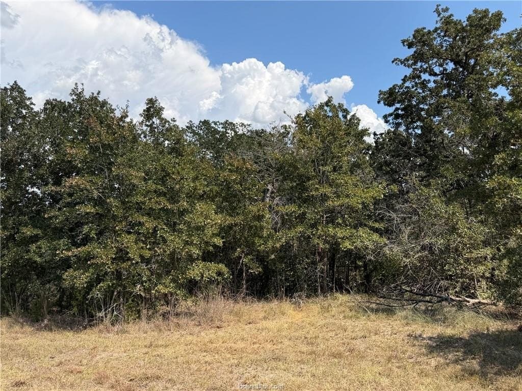 2.73 acres in Brazos County - photo 11