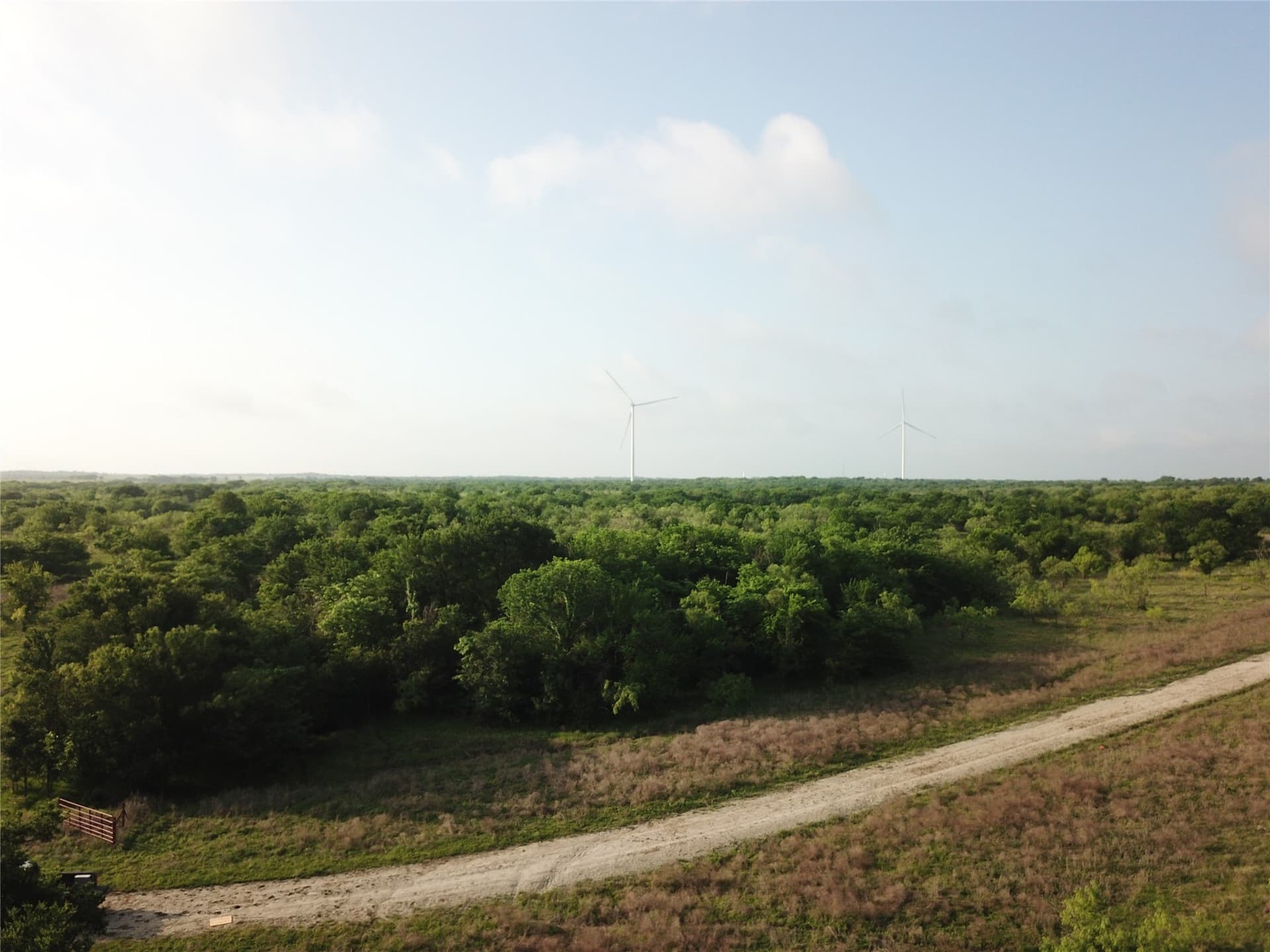 321.92 acres in Limestone County - photo 16