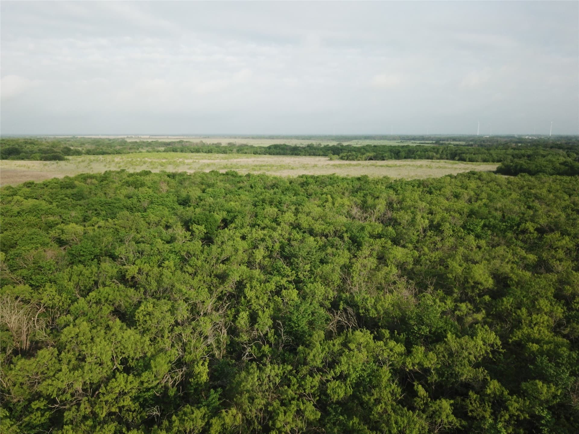 321.92 acres in Limestone County - photo 25