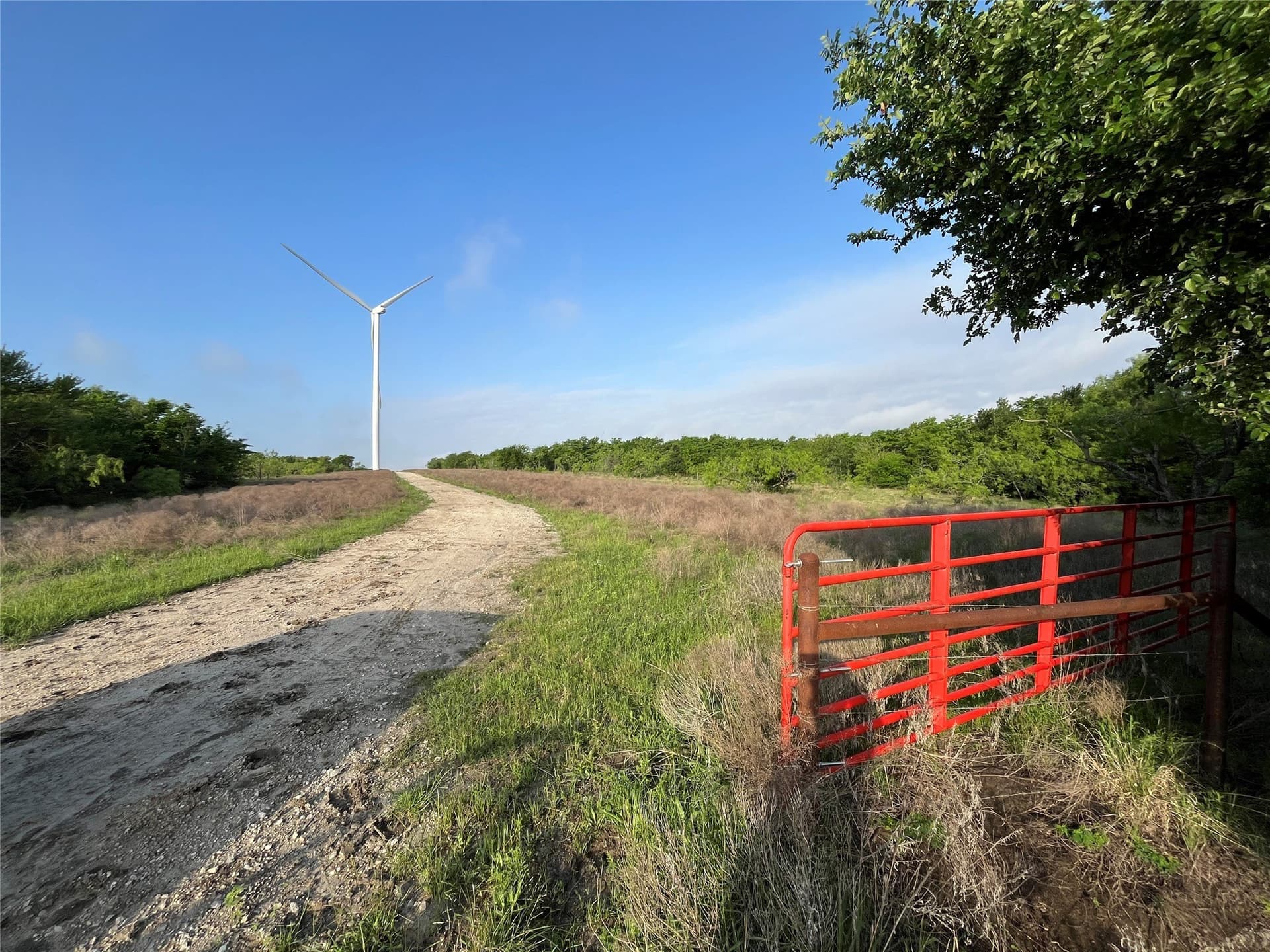 321.92 acres in Limestone County - photo 12