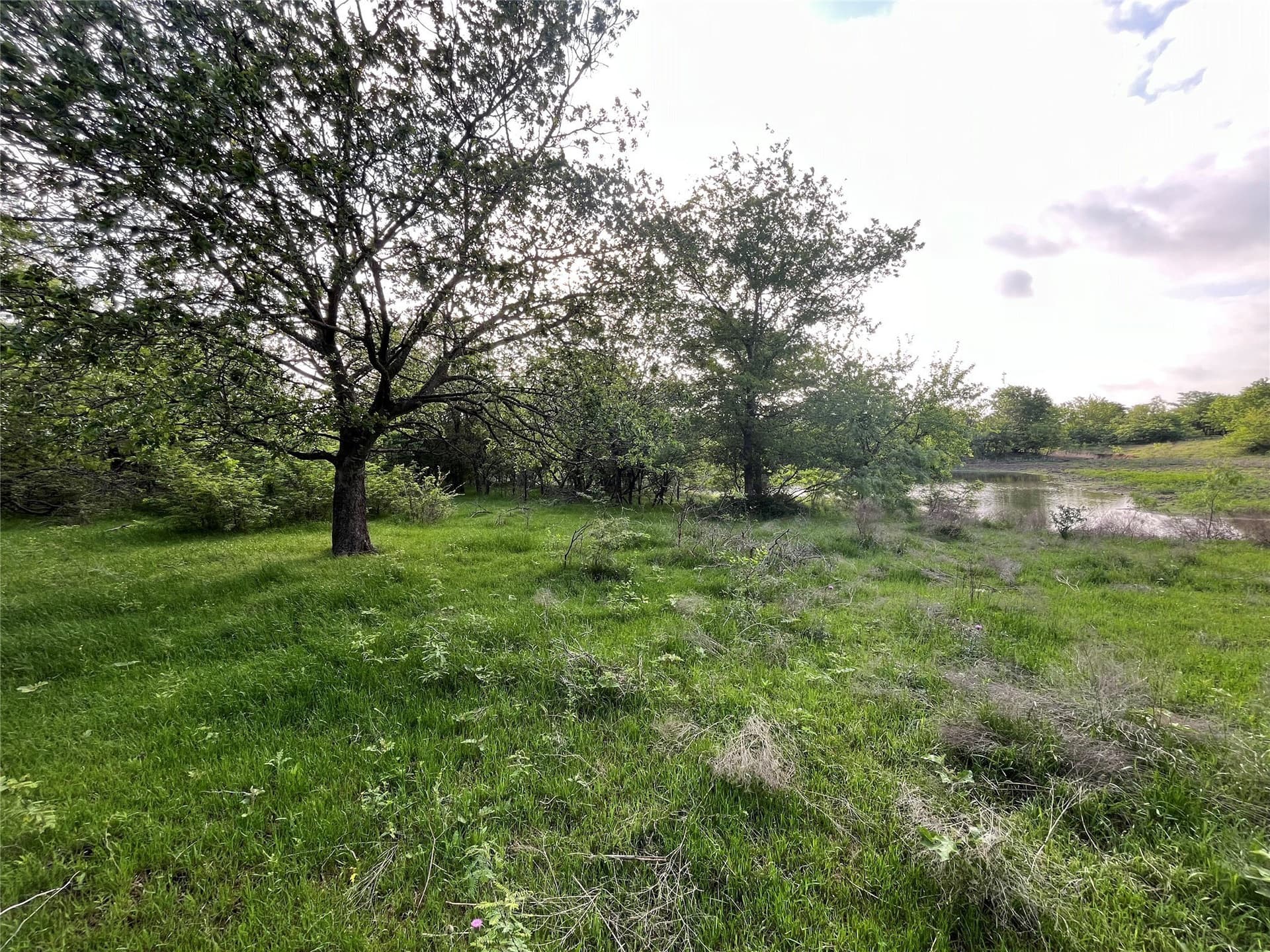 321.92 acres in Limestone County - photo 29